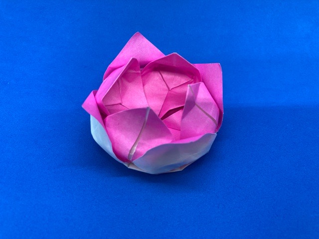折り紙 蓮の花 はすのはな の簡単な作り方 How To Make An Easy Origami Lotus Flower 簡単折り紙教室