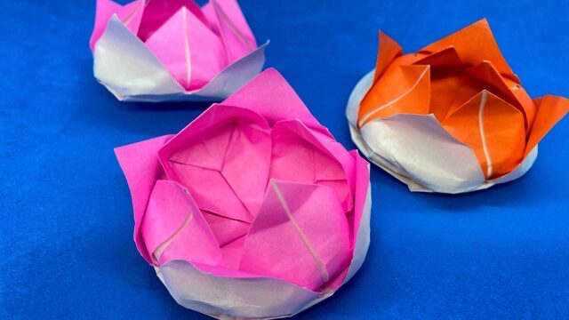 折り紙 蓮の花 はすのはな の簡単な作り方 How To Make An Easy Origami Lotus Flower 簡単折り紙教室